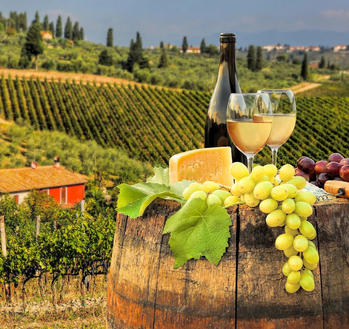 A Chianti wine tour with tastings